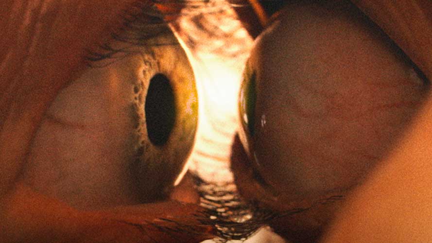 « Together » avec Alison Brie et Dave Franco sera présenté à Fantasia