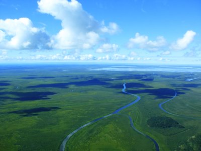 Deux documentaires de Loaded Pictures (H2Oil et Roadsworth...) en première à HOT DOCS