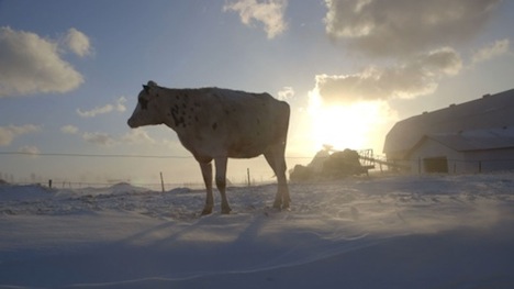 « Le plancher des vaches » à l’affiche au Québec dès le 8 mai