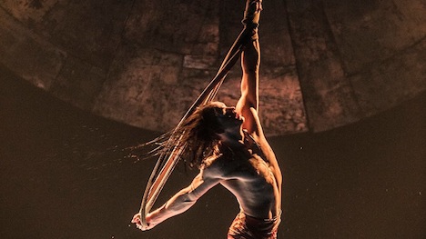 Le Cirque du Soleil s’associe à VenueParking