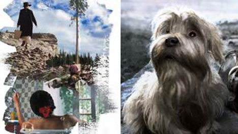 L’ONF conclut un entente avec un télédiffuseur public cubain