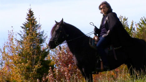 9e édition du Festival Les Percéides : palmarès 