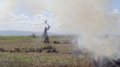« Les dépossédés » de Mathieu Roy en première aux RIDM puis en salles le 17 novembre