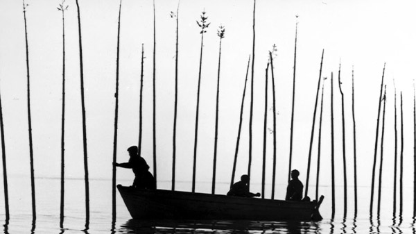 Le DOCfest – Pour la suite du DOC fêtera les 60 ans du cinéma direct