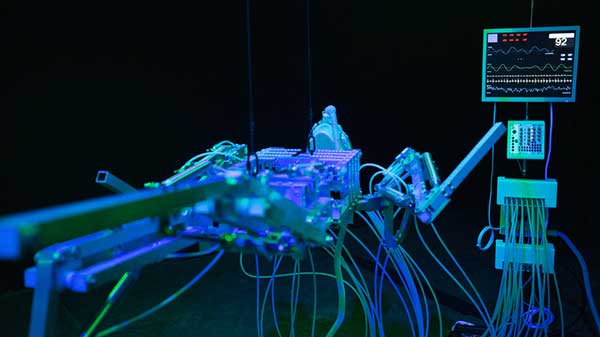 La 5e Biennale internationale d’art numérique se prolonge