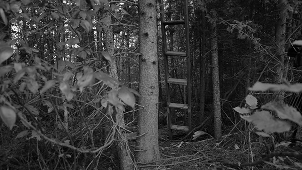 «&nbsp;Caches&nbsp;» de Nicolas Paquet révèle le côté méditatif de la chasse