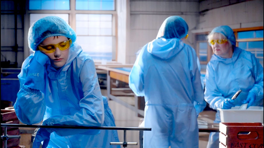 Le 54e Festival du nouveau cinéma dévoile sa programmation de courts métrages