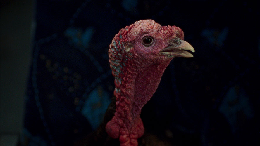 « Une langue universelle » de Matthew Rankin accède à la liste courte aux Oscars