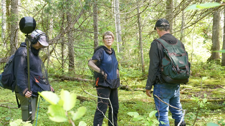 Pascale Ferland donne la parole à la forêt et à tout ce qui y vit