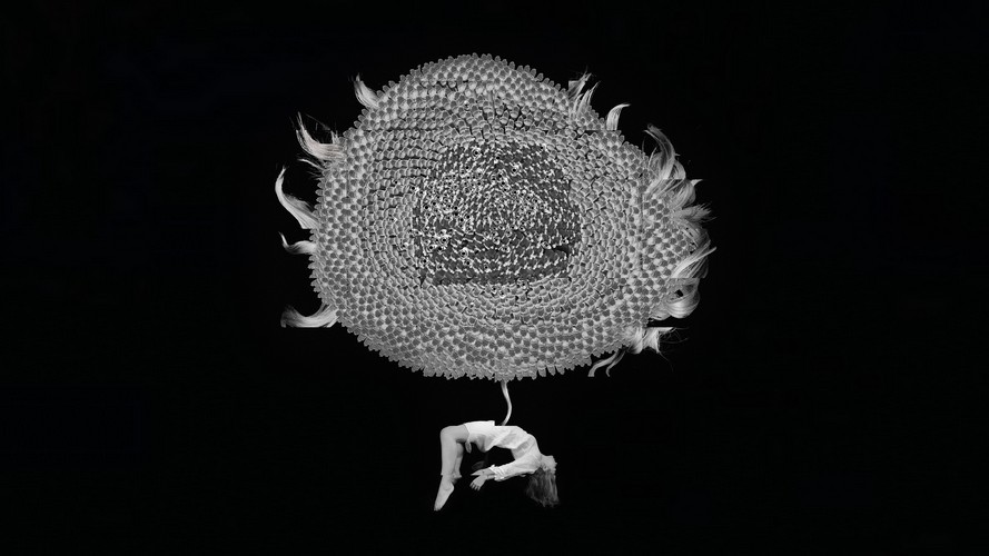 L’ONF assure une forte présence à la conférence SIGGRAPH 2025